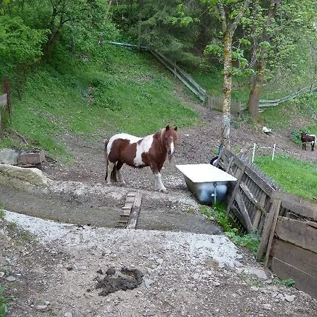 アパート Ferien-am-bauernhof-wohnung-2 *