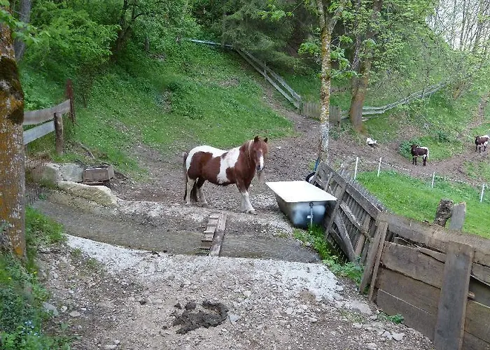 アパート Ferien-am-bauernhof-wohnung-2 *